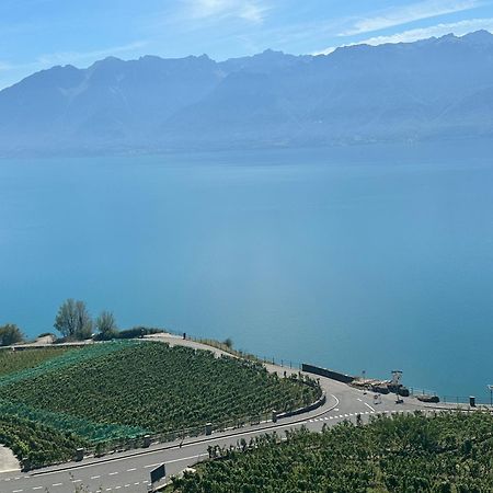 Room With 360° View Overlooking Lake Geneva And Alps Puidoux 外观 照片
